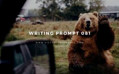 Writing Prompt 081