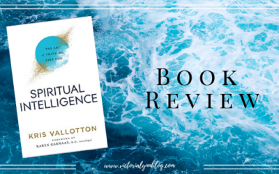 Spiritual Intelligence // Review